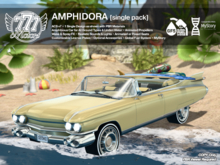 [777] AMPHIDORA - Ashgold (Add)