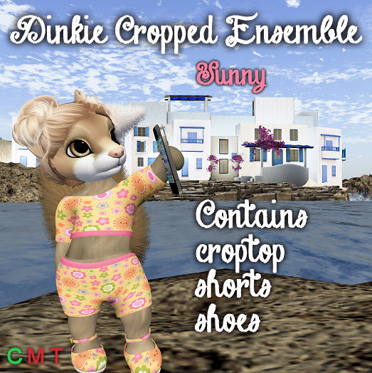 Dinkie Cropped Ensemble Sunny
