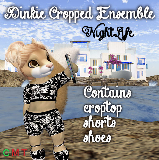 Dinkie Cropped Ensemble NightLife