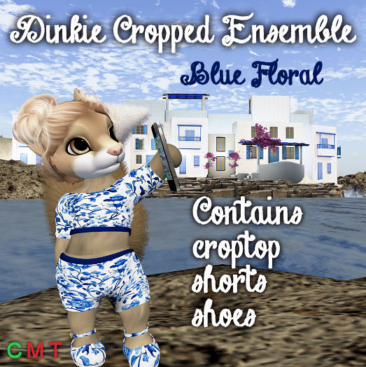 Dinkie Cropped Ensemble Blue Floral