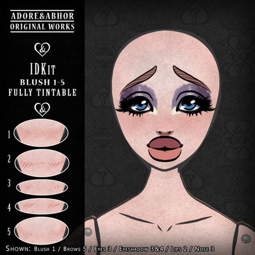 PMR IDKit - Blush 5