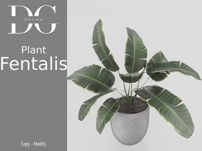 [Dogma] Fentalis Plant - White Pot