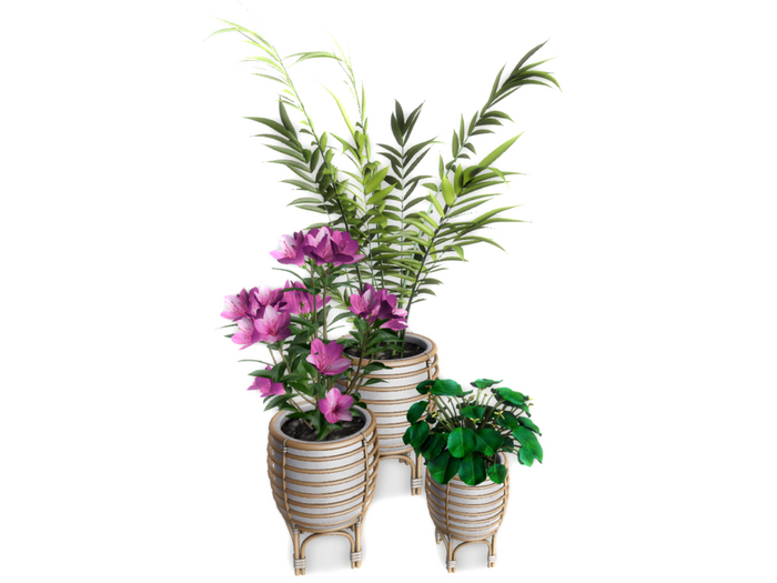 17.Why Not Lundavra Rattan Planter A