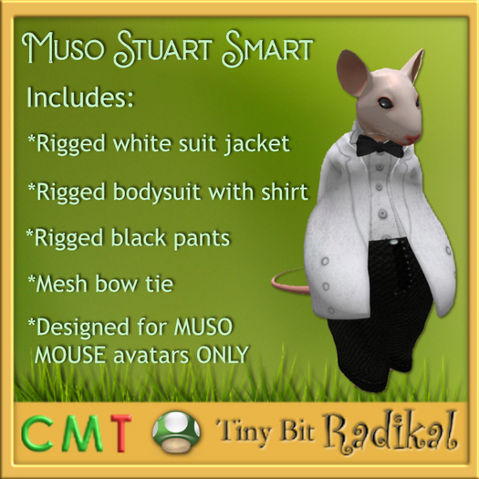 Muso Stuart Smart