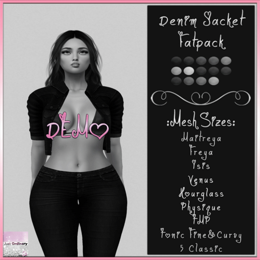 Denim Jacket Demo