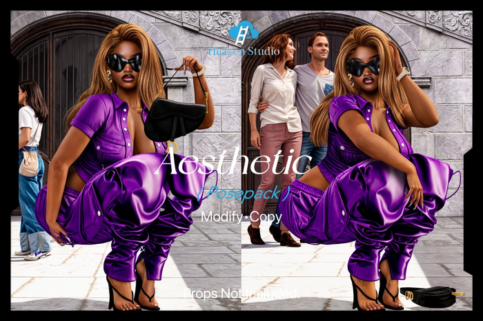 !HVS. AESTHETIC POSEPACK