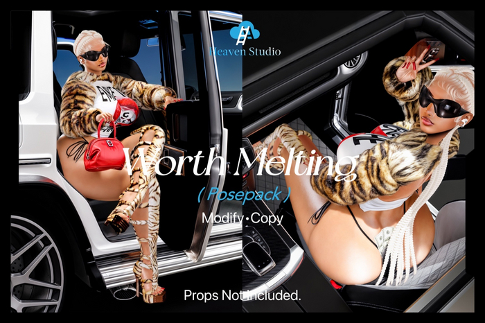 !HVS. WORTH MELTING POSEPACK