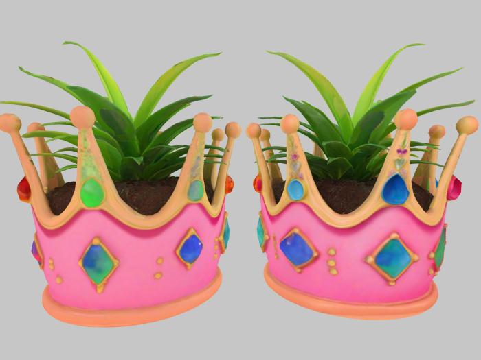 Princess Crown Plant FULL PERM