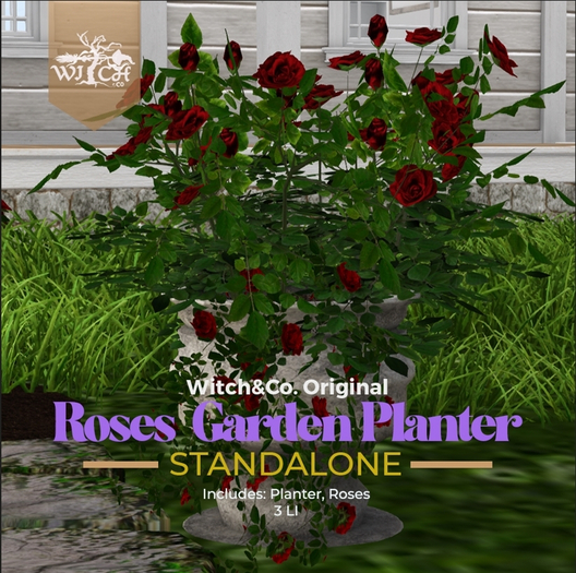 W&Co. Garden Planter Roses Box