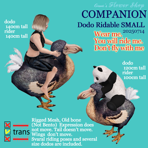 (g.) Companion Dodo Ridable SMALL 20250714