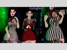 Galagher - Chily Fatpack