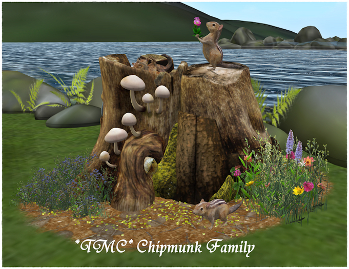 ~TMC~ Chipmunk Family