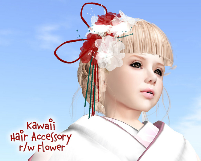 Hair Accessory