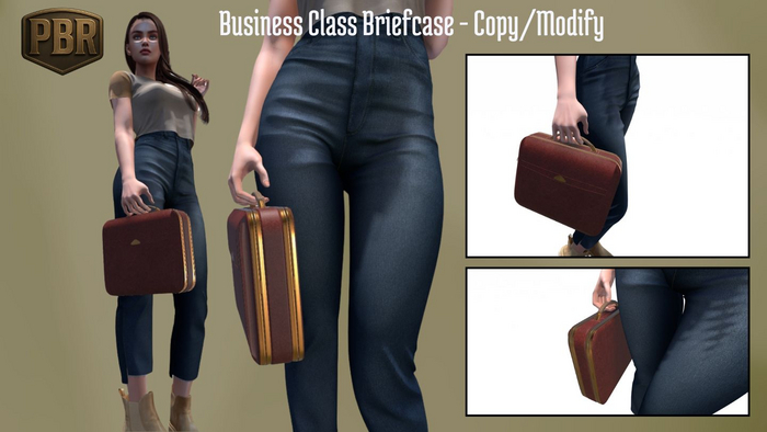 Business Class Briefcase - Copy/Modify