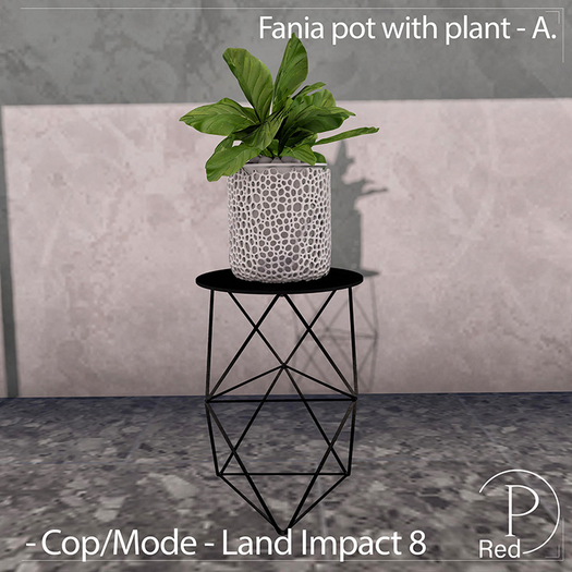 P.ReD.Fania pot with plant - A  - Box