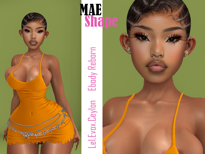 16.MAE SHAPE.LEL evox Ceylon