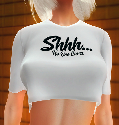 FD F Tee Shhh... No One Cares!