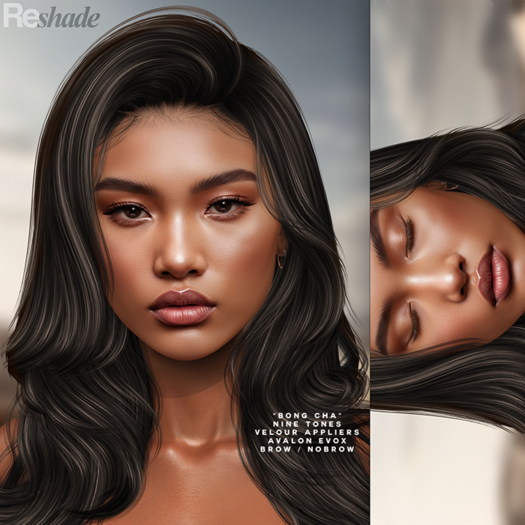 (RESHADE X VELOUR) - (BROWNIE) BONG CHA (EVOX)