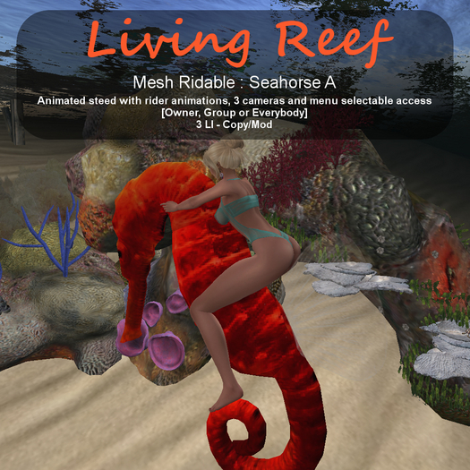 Inochi Reef - Seahorse A (RIDABLE)