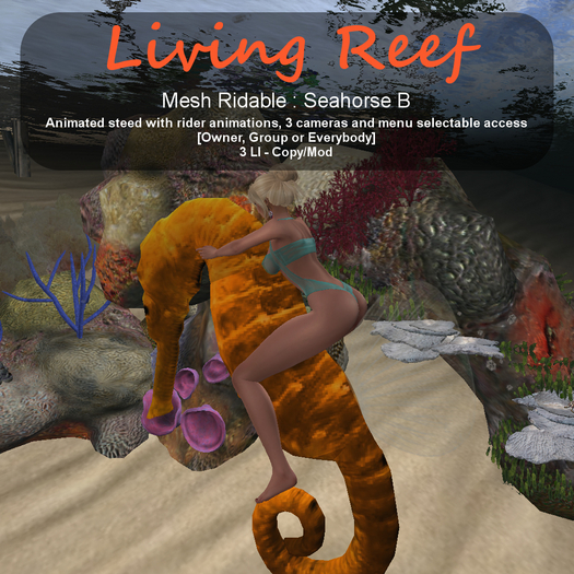 Inochi Reef - Seahorse B (RIDABLE)
