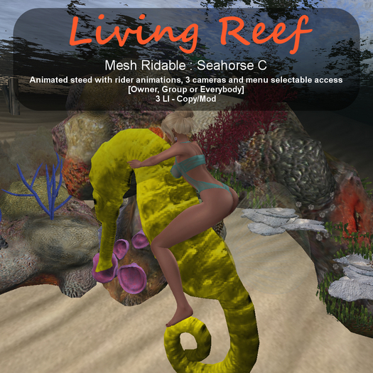 Inochi Reef - Seahorse C (RIDABLE)