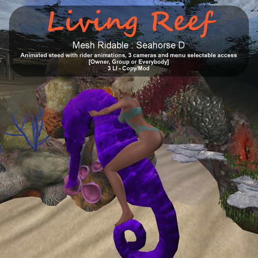 Inochi Reef - Seahorse D (RIDABLE)