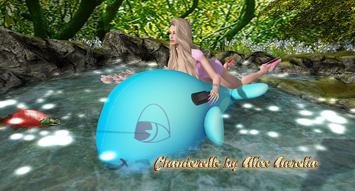 2 DUST: Inflatable Whale Ride [add]