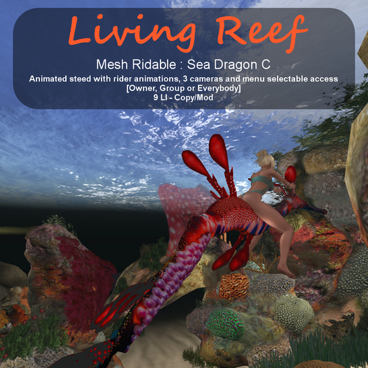 Inochi Reef - Sea Dragon C (RIDABLE)