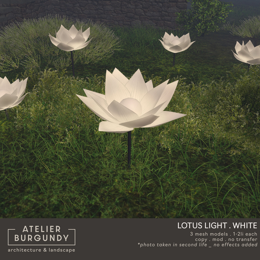 Atelier Burgundy . Lotus Light White *ADD*