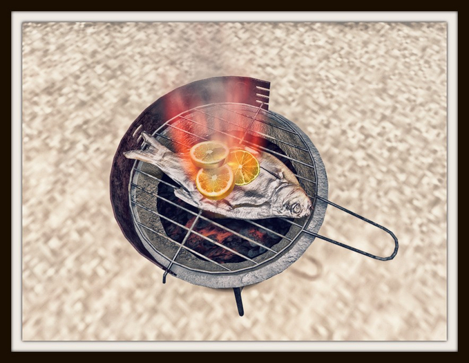 RHC Small Beach Grill