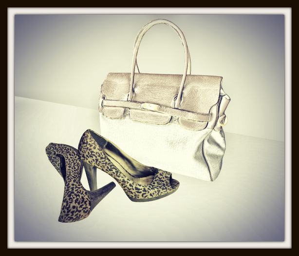 RHC Bag and Shoes DECO