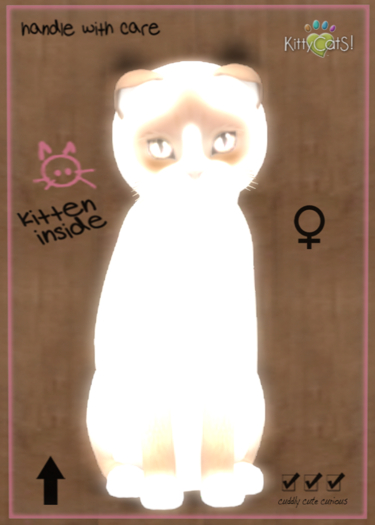 KittyCatS Box - Snowshoe - Cream 9T (female)
