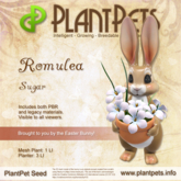 PlantPet Seed [Romulea *Sugar*] COMMON