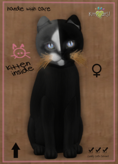 KittyCatS Box - Chimera - Black Grey 9T (female)