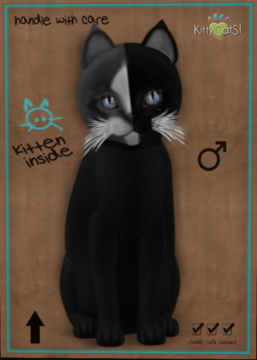 KittyCatS Box - Chimera - Black Grey 9T (male)