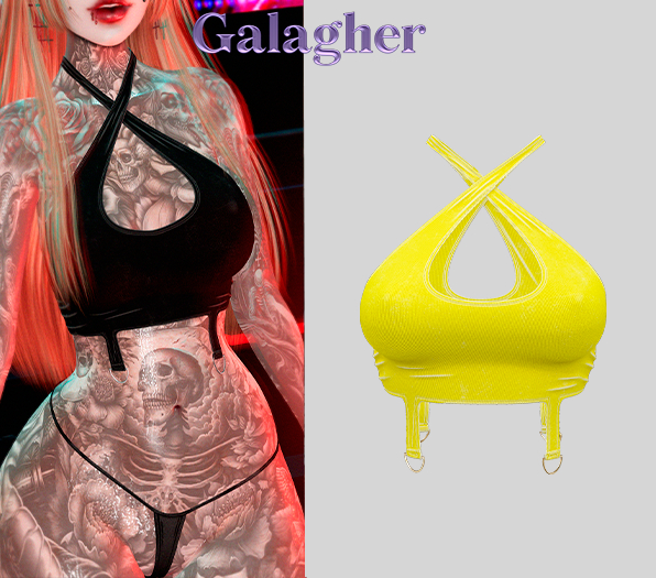 Galagher - Ivory Top Edition 15