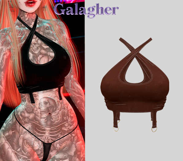 Galagher - Ivory Top Edition 12