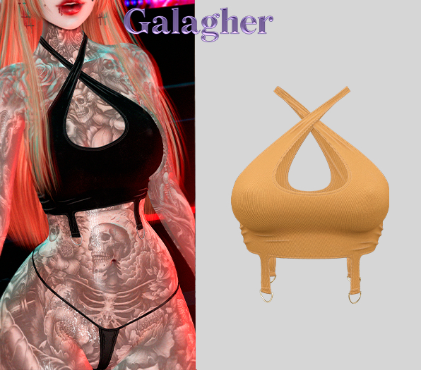 Galagher - Ivory Top Edition 11