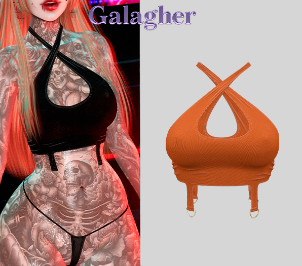 Galagher - Ivory Top Edition 13