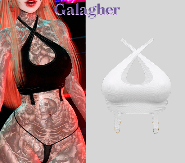 Galagher - Ivory Top Edition 3