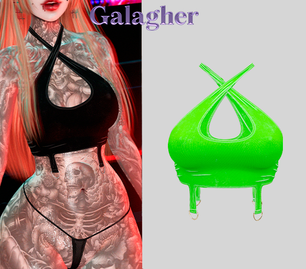 Galagher - Ivory Top Edition 14