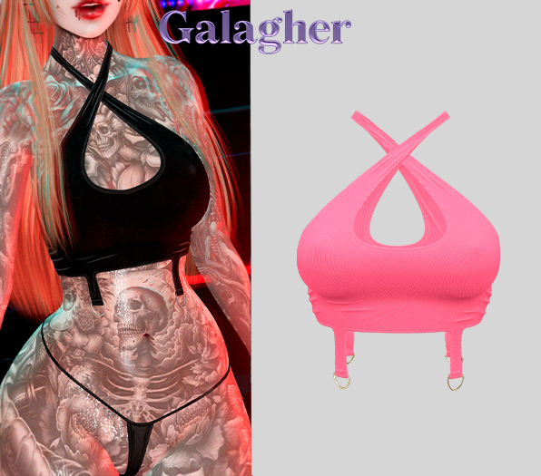 Galagher - Ivory Top Edition 6