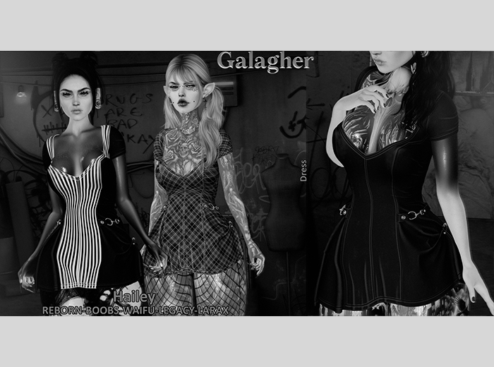 Galagher - Hailey DEMO