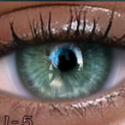 LOTUS. Passion Eyes 1 MESH