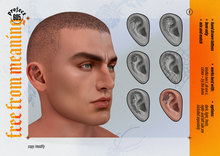 (project 605) - free from meaning - ear tattoo - 6/ scorpion