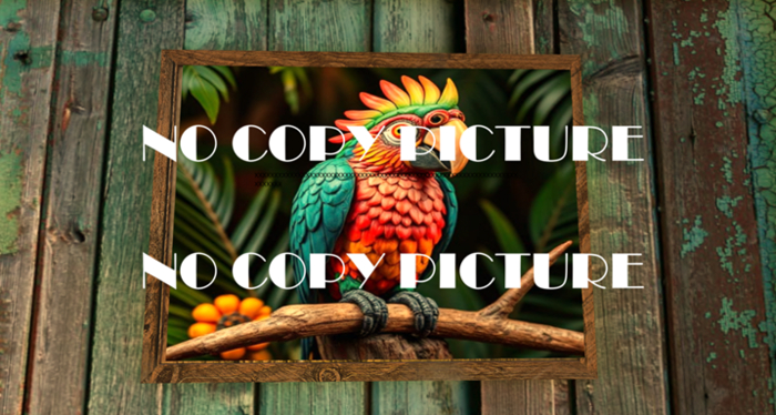 PARROT FRAMED PICTURE BY SETH