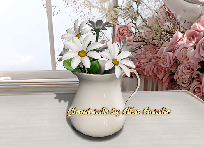 -tb- Spring Living - Daisies