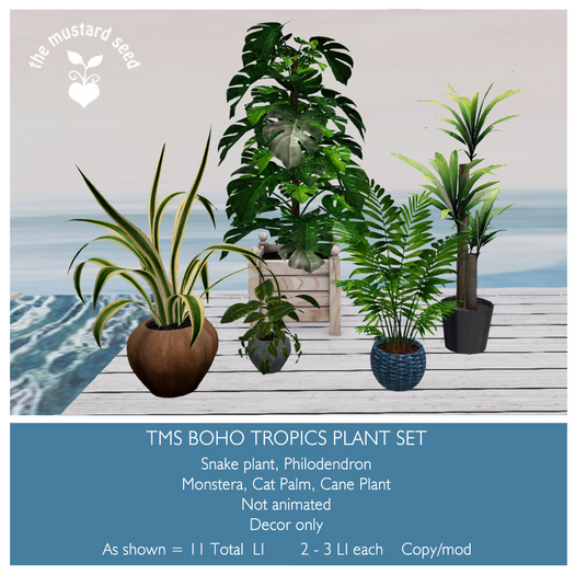 tms boho tropics plant set *ADD*