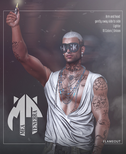 . :  Mea Tenebra  : . Flameout