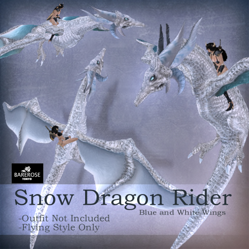 ::: B@R ::: Snow Dragon Rider